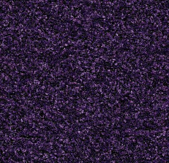 Грязезащитные покрытия Forbo Coral Brush 5709 royal purple фото 1 | FLOORDEALER